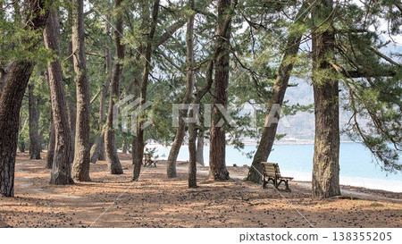 福井縣敦賀市 Kehi no Matsubara 138355205