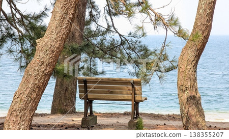 福井縣敦賀市 Kehi no Matsubara 138355207