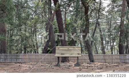 福井縣敦賀市 Kehi no Matsubara 138355220