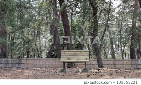 Kehi no Matsubara, Tsuruga City, Fukui Prefecture 138355221