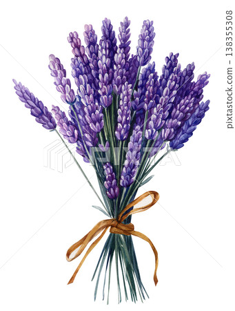 Lavender bouquet watercolor clipart with tied purple stems and aromatic floral bunch isolated on light background 138355308