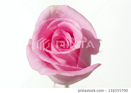 This is a bouquet with pink roses. 138355700