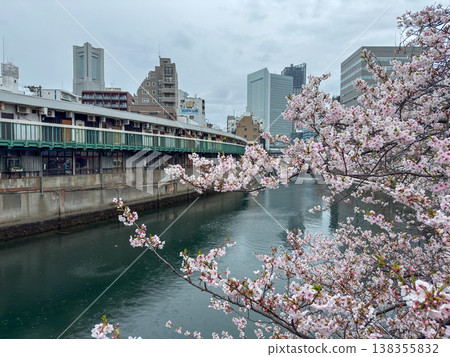 Cherry blossoms in full bloom along the river in Yokohama, against the backdrop of the city skyline. March 2026, Yokohama City, Japan. Cherry blossoms in full bloom along the river in Yokohama, against the backdrop of the city skyline. March 2026, Yokohama City, Japan. 138355832