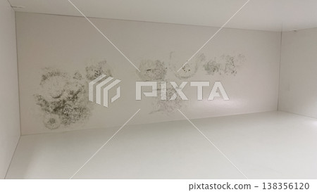 Black mold and mildew spots growing on a damp white wall due to humidity and water damage at home Black mold and mildew spots growing on a damp white wall due to humidity and water damage at home 138356120