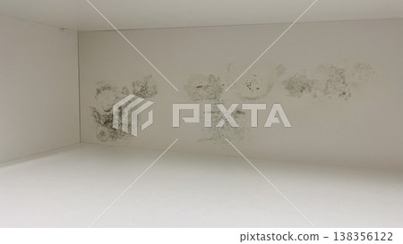 Black mold and mildew spots growing on a damp white wall due to humidity and water damage at home Black mold and mildew spots growing on a damp white wall due to humidity and water damage at home 138356122