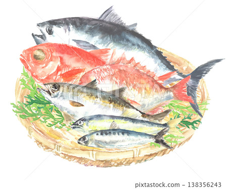 A watercolor illustration of various fresh fish arranged in a basket. A watercolor illustration of various fresh fish arranged in a basket. 138356243