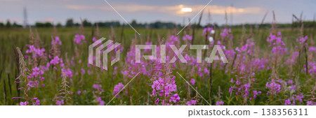 Banner Idyllic Rural Landscape Captured During Twilight With Vibrant Wildflowers And Layered Skies Banner Idyllic Rural Landscape Captured During Twilight With Vibrant Wildflowers And Layered Skies 138356311