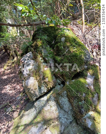 Rock and moss Rock and moss 138356434