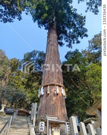 The sacred tree stands tall and powerful in the sky. The sacred tree stands tall and powerful in the sky. 138356436