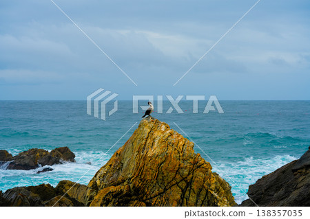 Great Cormorant Phalacrocorax carbo sits on the rock, East sea, South Korea Great Cormorant Phalacrocorax carbo sits on the rock, East sea, South Korea 138357035