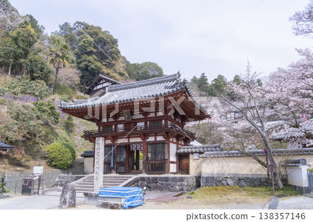 岡寺、二王門、櫻花季——奈良縣高市區飛鳥村岡—— 138357146