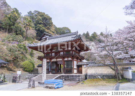 Okadera Temple, Niomon Gate, Cherry Blossom Season -- Oka, Asuka Village, Takaichi District, Nara Prefecture -- Okadera Temple, Niomon Gate, Cherry Blossom Season -- Oka, Asuka Village, Takaichi District, Nara Prefecture -- 138357147