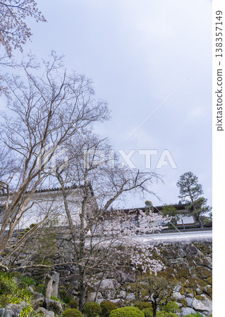 Nara, Oka-dera Temple, Cherry Blossom Season Nara, Oka-dera Temple, Cherry Blossom Season 138357149