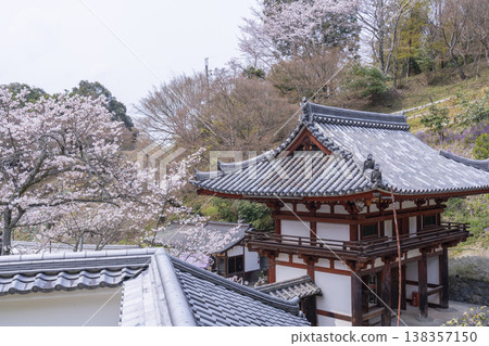 岡寺、二王門、櫻花季——奈良縣高市區飛鳥村岡—— 岡寺、二王門、櫻花季——奈良縣高市區飛鳥村岡—— 138357150