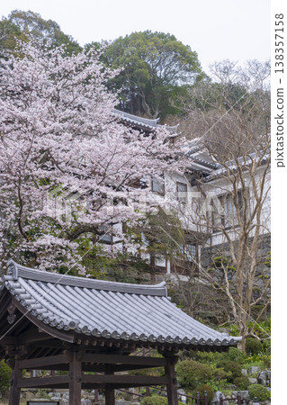 岡寺寺櫻花季-奈良縣高市郡飛鳥村岡— 岡寺寺櫻花季-奈良縣高市郡飛鳥村岡— 138357158