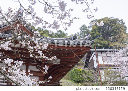 Okadera Temple, Niomon Gate, Cherry Blossom Season -- Oka, Asuka Village, Takaichi District, Nara Prefecture -- Okadera Temple, Niomon Gate, Cherry Blossom Season -- Oka, Asuka Village, Takaichi District, Nara Prefecture -- 138357159