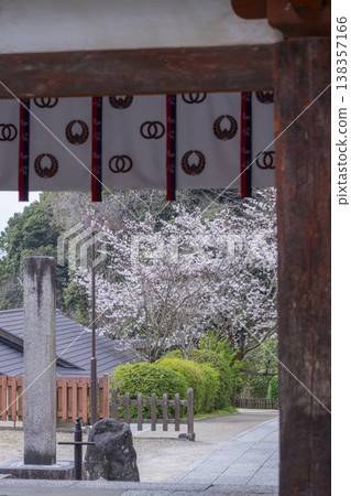 Okadera Temple, Niomon Gate, Cherry Blossom Season -- Oka, Asuka Village, Takaichi District, Nara Prefecture -- Okadera Temple, Niomon Gate, Cherry Blossom Season -- Oka, Asuka Village, Takaichi District, Nara Prefecture -- 138357166