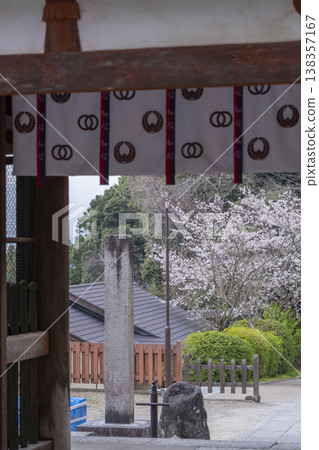 Okadera Temple, Niomon Gate, Cherry Blossom Season -- Oka, Asuka Village, Takaichi District, Nara Prefecture -- Okadera Temple, Niomon Gate, Cherry Blossom Season -- Oka, Asuka Village, Takaichi District, Nara Prefecture -- 138357167