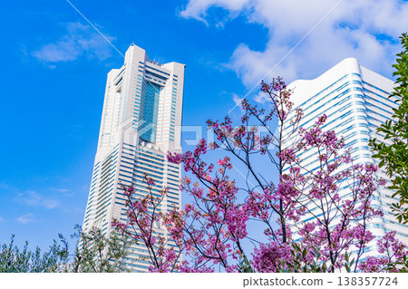(Kanagawa Prefecture) Cherry blossoms bloom at Yokohama Minato Mirai Canal Park (Kanagawa Prefecture) Cherry blossoms bloom at Yokohama Minato Mirai Canal Park 138357724