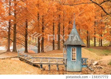 黎明時分,兒童森林公園裡的水杉樹呈現出秋日色彩斑斕的景象。 黎明時分,兒童森林公園裡的水杉樹呈現出秋日色彩斑斕的景象。 138357772