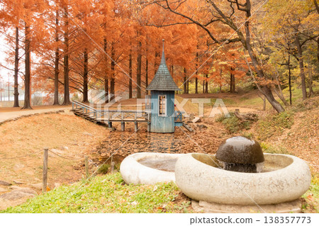 黎明時分，兒童森林公園裡的水杉樹呈現出秋日色彩斑斕的景象。 138357773