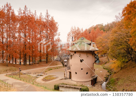 黎明時分，兒童森林公園裡的水杉樹呈現出秋日色彩斑斕的景象。 138357780