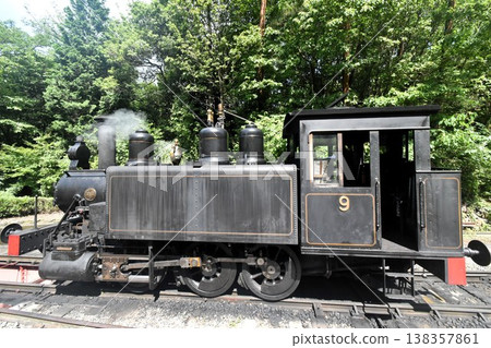 A steam locomotive (Steam Locomotive No. 9) runs through the fresh greenery. 138357861