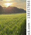 Morning countryside landscape 138357868