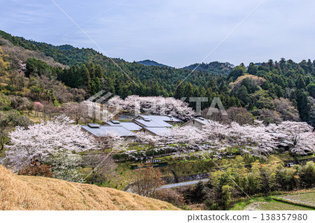 The quintessential Japanese landscape: Cherry blossoms and springtime countryside in Asuka Village 138357980