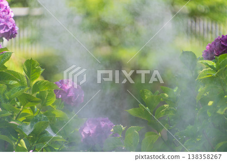 A dreamy purple hydrangea shrouded in mist. 138358267