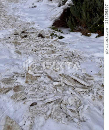 A pile of shattered ice pieces is scattered on a snowcovered ground, showcasing winters unique and beautiful textures. A pile of shattered ice pieces is scattered on a snowcovered ground, showcasing winters unique and beautiful textures. 138359267