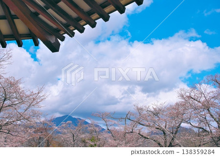 從權現山展望台的屋簷下可以看到櫻花和大山。 138359284