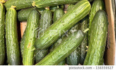 A lot of green cucumbers in a market counter for sale on sale in vegetable stand display at supermarket show organic food, vegetarian food, healthy food. Close-up. A lot of green cucumbers in a market counter for sale on sale in vegetable stand display at supermarket show organic food, vegetarian food, healthy food. Close-up. 138359327