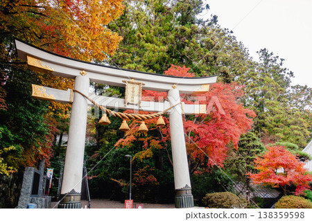 秋色映襯著長瀞和寶道山神社。 秋色映襯著長瀞和寶道山神社。 138359598