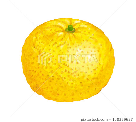 Illustration of Yuzu Illustration of Yuzu 138359657