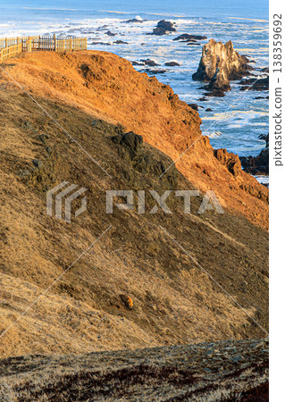 夕陽西下，波濤洶湧，一隻紅狐狸隱沒在波濤之中。 138359692