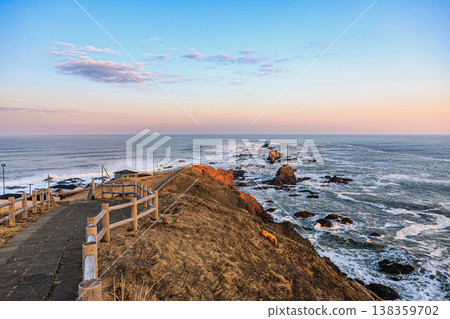 A red fox stands against the backdrop of a rough sea. A red fox stands against the backdrop of a rough sea. 138359702