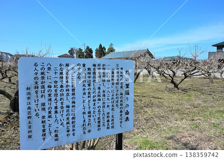 枝頭繁花似錦（新潟縣新潟市江南區） 138359742