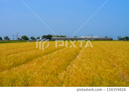 Scenery with wheat field Scenery with wheat field 138359826