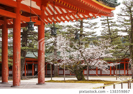 Scenery of Heian Shrine in Kyoto: Springtime scenery of Heian Shrine, Kagura Hall and cherry blossoms, Kyoto tourist spot Scenery of Heian Shrine in Kyoto: Springtime scenery of Heian Shrine, Kagura Hall and cherry blossoms, Kyoto tourist spot 138359867