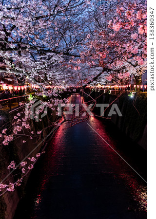夜櫻~東京目黑川,第一部~ 夜櫻~東京目黑川,第一部~ 138360347