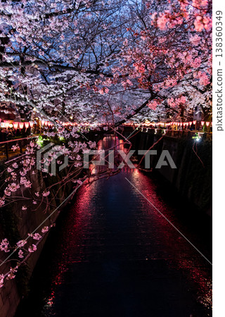 夜櫻 ~東京目黑川,14~ 夜櫻 ~東京目黑川,14~ 138360349