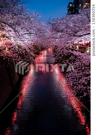 Night Cherry Blossoms ~Tokyo, Meguro River, 19~ Night Cherry Blossoms ~Tokyo, Meguro River, 19~ 138360354