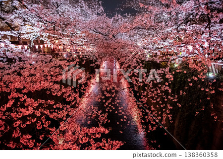 Cherry blossoms at night ~Tokyo, Meguro River, Part 4~ Cherry blossoms at night ~Tokyo, Meguro River, Part 4~ 138360358