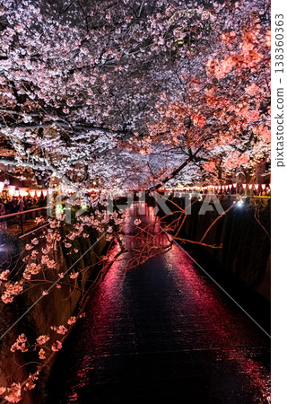 Night Cherry Blossoms ~Tokyo, Meguro River, Part 9~ 138360363