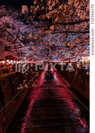 夜櫻 ~東京目黑川，28~ 138360370
