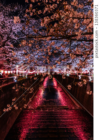 夜櫻 ~東京目黑川,29~ 夜櫻 ~東京目黑川,29~ 138360371