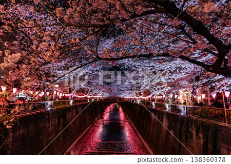 夜櫻 ~東京目黑川,24~ 夜櫻 ~東京目黑川,24~ 138360378