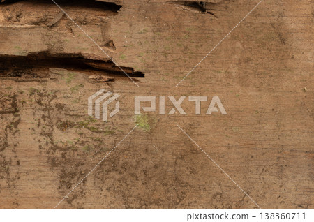 Damaged wooden plank Damaged wooden plank 138360711