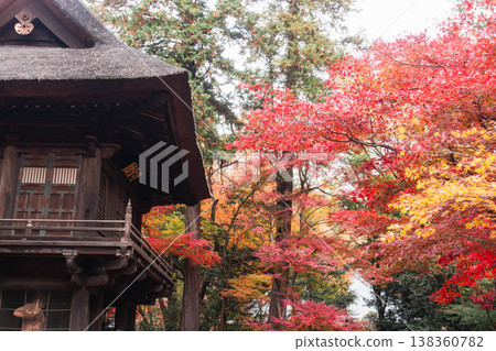 平林寺的庭院被美麗的秋葉裝點得格外迷人。 平林寺的庭院被美麗的秋葉裝點得格外迷人。 138360782